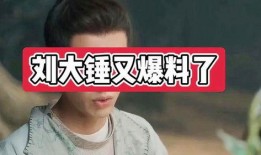 刘大锤最新爆料照片,独家照片揭秘幕后真相